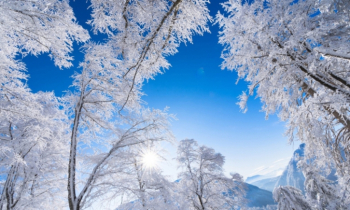 বিশেষজ্ঞরা দেখছেন আর্টিক শৈত্যপ্রবাহের সম্ভাবনা