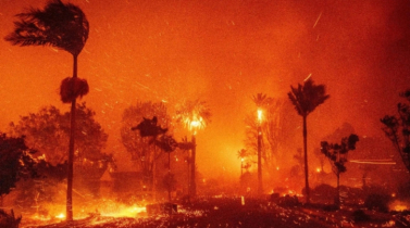 এ বছরের চরম আবহাওয়া আরও ভয়াবহ রূপ নিয়েছে: প্রতিবেদন