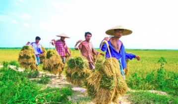 পরিবেশবান্ধব কৃষি ব্যবস্থা দেশের কৃষি অর্থনীতিতে বিপ্লব ঘটাবে