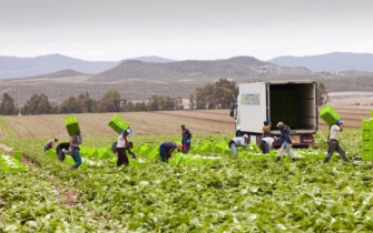 নেপালী শ্রমিক পাচারে স্প্যানিশ পুলিশের হাতে ১১ জন গ্রেপ্তার