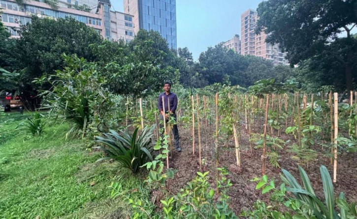 দিয়াবাড়ীতে দেশের সর্ববৃহৎ মিয়াওয়াকি বন গড়ে তুলছে ডিএনসিসি
