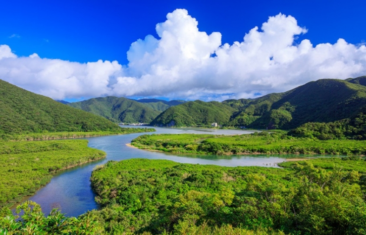 তীব্র ক্ষতিগ্রস্ত আফ্রিকার কথাকে কাজে রূপান্তরের দাবি বিশ্বের প্রতি