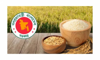 আমন মৌসুমে ধান ও চাল সংগ্রহের লক্ষ্যমাত্রা নির্ধারণ