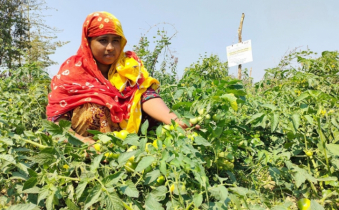 কক্সবাজারে জলবায়ু সহনশীলতা ও খাদ্য নিরাপত্তা বাড়াতে প্রকল্প চালু