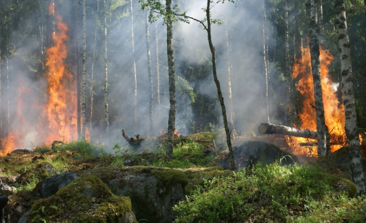 জলবায়ু পরিবর্তনে প্রতি বছর লক্ষ লক্ষ প্রতিরোধযোগ্য মৃত্যু ঘটছে জলবায়ু পরিবর্তনে প্রতি বছর লক্ষ লক্ষ প্রতিরোধযোগ্য মৃত্যু ঘটছে