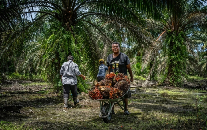 মালয়েশিয়ায় কর্মী প্রেরণে নতুন সুযোগ মালয়েশিয়ায় কর্মী প্রেরণে নতুন সুযোগ