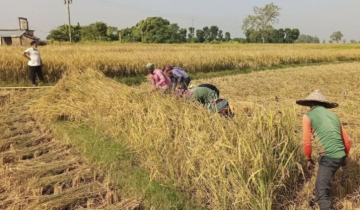 জলবায়ু পরিবর্তন অভিযোজনের জন্য সমন্বিত উদ্যোগ জরুরি