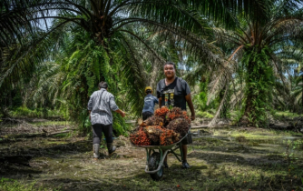 মালয়েশিয়ায় কর্মী প্রেরণে নতুন সুযোগ