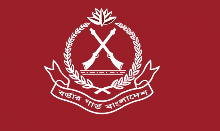 ব্রাহ্মণবাড়িয়ায় সাড়ে ১২ কোটি টাকার ভারতীয় মালামাল আটক