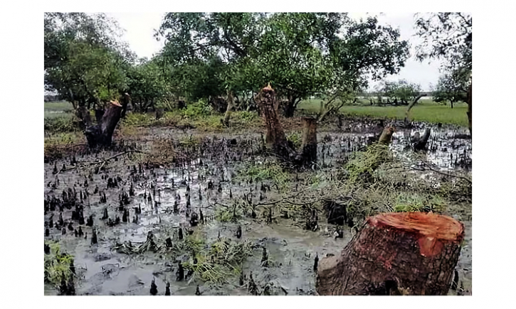 বন রক্ষায় ব্যবস্থা নিতে সচিবসহ ১০ সোনাদিয়া কর্মকর্তাকে আইনি নোটিশ