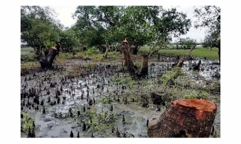 বন রক্ষায় ব্যবস্থা নিতে সচিবসহ ১০ সোনাদিয়া কর্মকর্তাকে আইনি নোটিশ