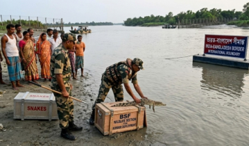 বিএসএফ সীমান্ত নদীতে সাপ, কুমির ব্যবহারের সম্ভাব্যতা যাচাই করছে