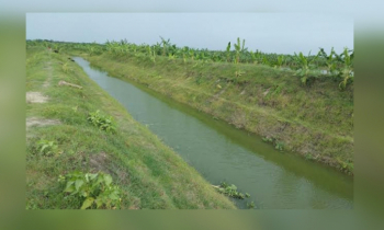 সরকার সেচ বাড়াতে ৩১৮ কিলোমিটার খাল পুনঃখনন করবে : এ্যানী