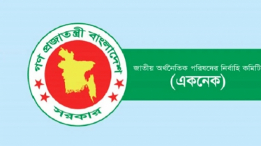 প্রধানমন্ত্রীকে সভাপতি করে অর্থনৈতিক পরিষদের নির্বাহী কমিটি গঠন