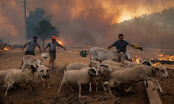 গ্রিনহাউস গ্যাস নির্গমন ৯০ শতাংশ হ্রাস করার সিদ্ধান্ত ইইউ-এর