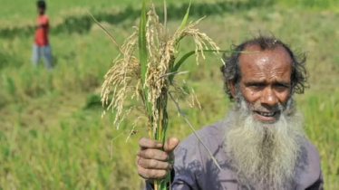 চট্টগ্রামে বিএনপির বড় জয়, ১০টিতে নতুন মুখ