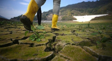 জলবায়ু পদক্ষেপ কেন নিজেই ‘বীমা পলিসি’?