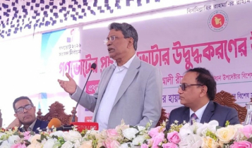 গণভোট ভবিষ্যৎ রাষ্ট্রব্যবস্থা নির্ধারণ করবে: আলী রীয়াজ