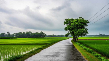 রংপুর, দিনাজপুরে স্বস্তির বৃষ্টি, রাতের তাপমাত্রা কমে ১৮ ডিগ্রী