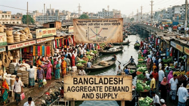 সামষ্টিক অর্থনৈতিক স্থিতিশীলতা আনতে এই সরকার বিচক্ষণ পদক্ষেপ নেবে