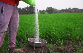ইরান যুদ্ধের কারণে বাংলাদেশে সার সংকটের শঙ্কা কতটা?